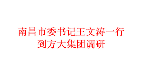 為推進項目建設(shè) 加快產(chǎn)業(yè)發(fā)展南昌市委書記王文濤一行到方大集團調(diào)研